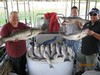 (09/29/2018) - Nice Striped Bass